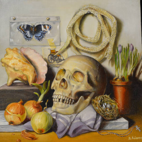 Still life painting including a human skull, snake skin, a butterfly and a conch shell.